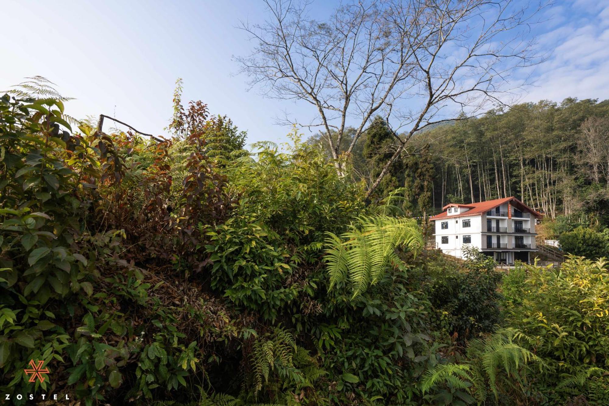Zostel Rinchenpong Hostel Ngoại thất bức ảnh